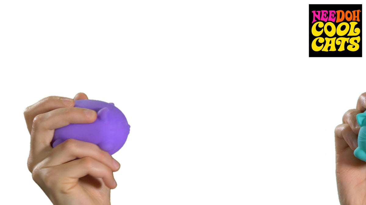 Cool Cats NeeDoh Character Sensory Squeeze Toy