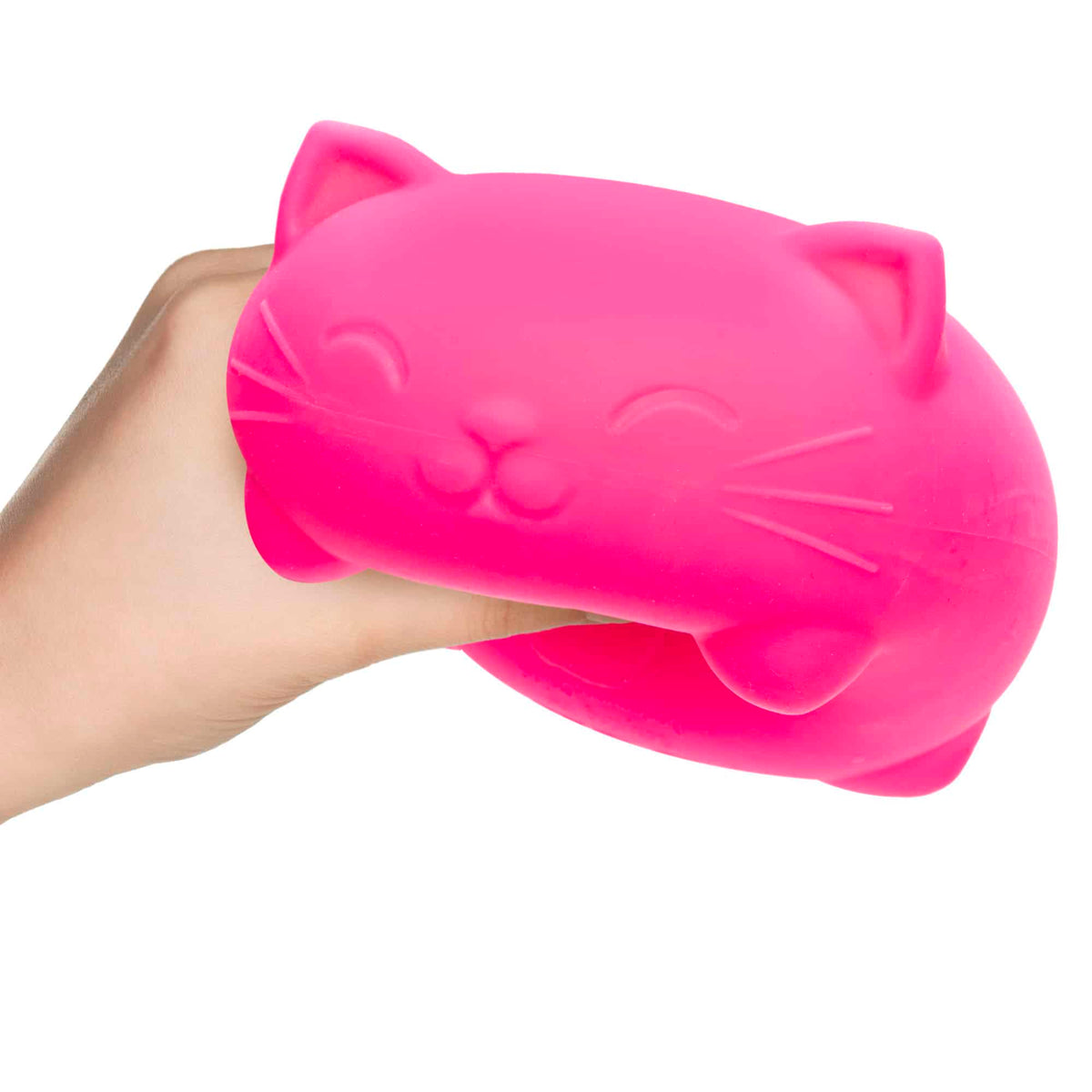 Super NeeDoh Cool Cats Character Sensory Squeeze Toy