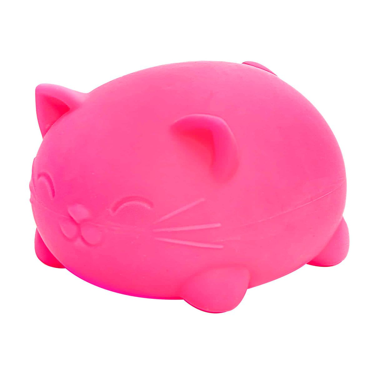 Super NeeDoh Cool Cats Character Sensory Squeeze Toy