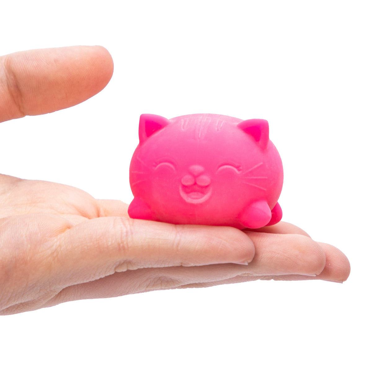 Teenie NeeDoh Cool Cats Mini Sensory Squeeze Toy