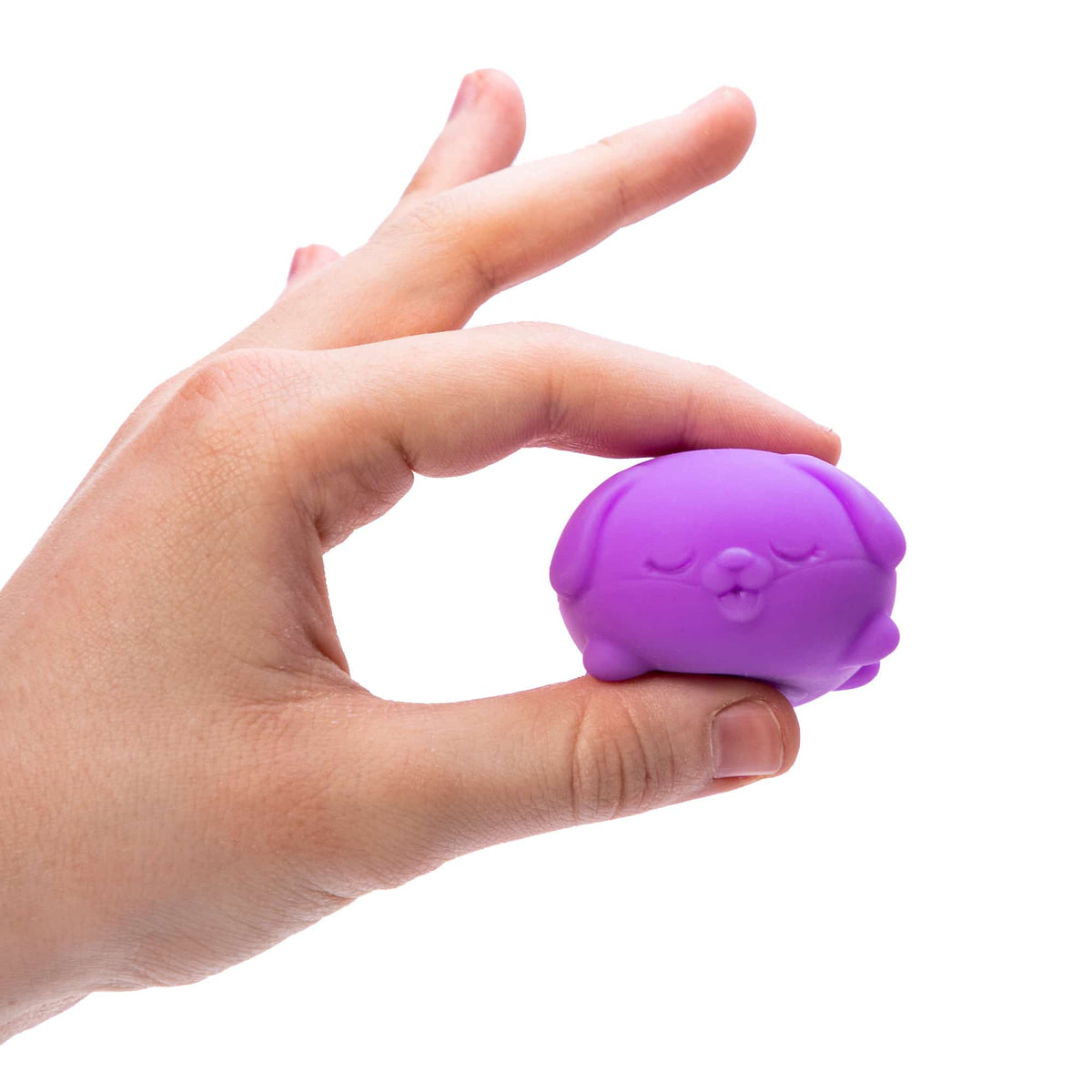 Teenie NeeDoh Funky Pup Mini Sensory Squeeze Toy